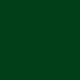 Композитная панель Bildex BG 6029 Зеленый Композитная панель Bildex BG 6029 Зеленый